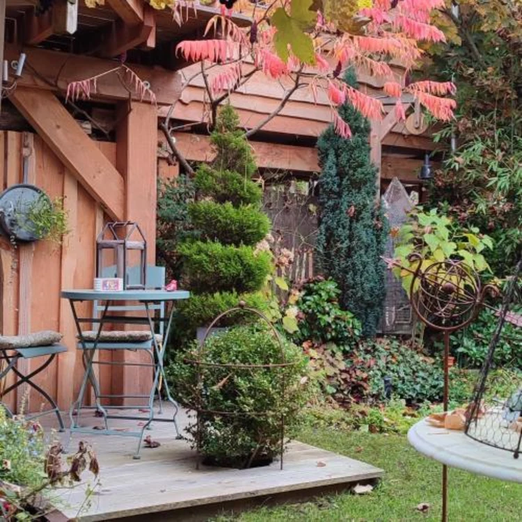 La cabane du bon chemin ,spa #1