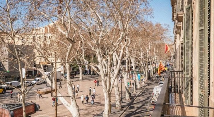 Ramblas by pillow outlet