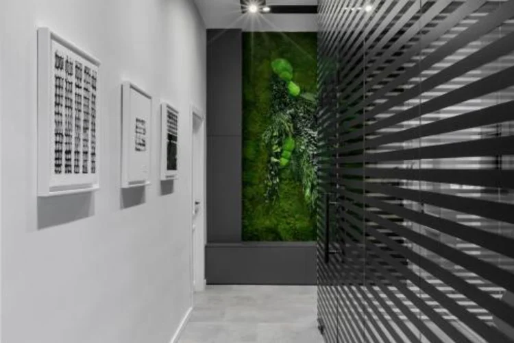 Bumblebee Luxury Apartments 2 #1