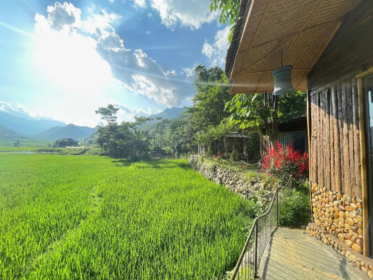 Sapa Bamboo Eco #1