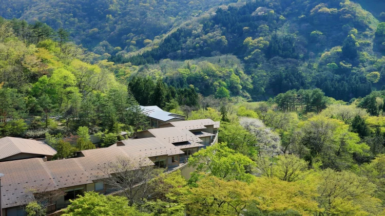 会津芦牧温泉 离宿山翠 #1