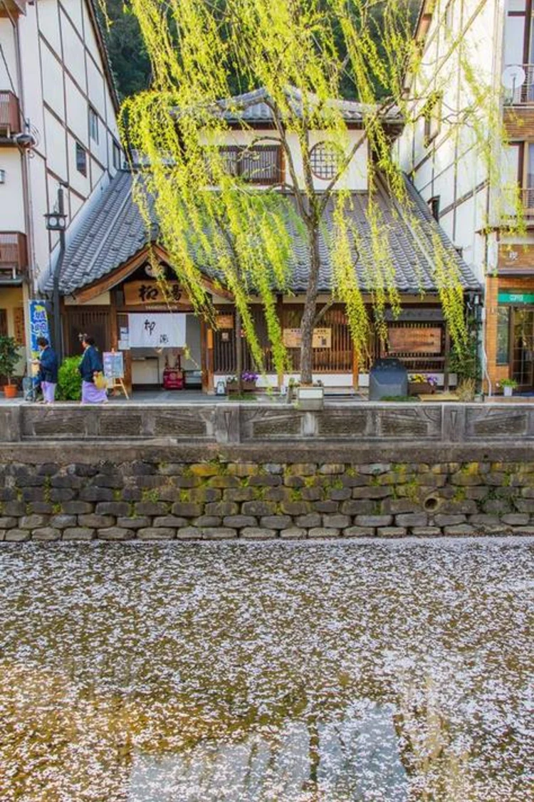 三国屋旅馆 #1