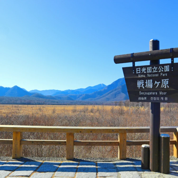 奥日光深山宾馆 #1