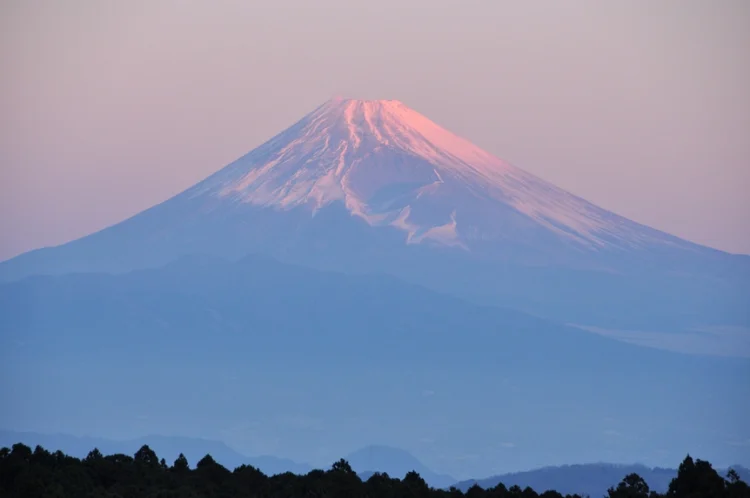 Fuji Yoko Hotel #1