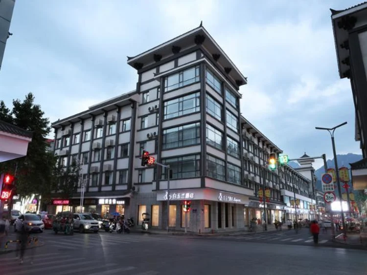 白玉兰洛阳栾川长春路十字街店 #1
