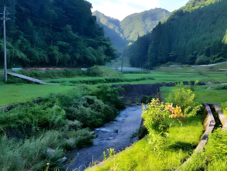 小御宿月野萤火虫旅馆 #1