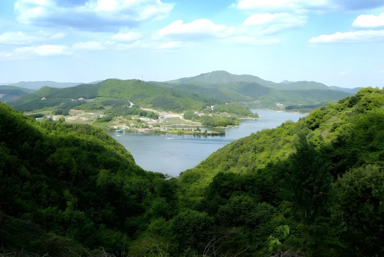 山河旅馆 #1