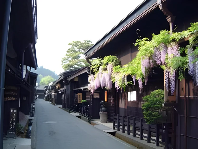 飞驒高山御宿吉野屋 #1