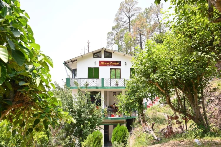 Wood Castle Luxury Home Stay #1