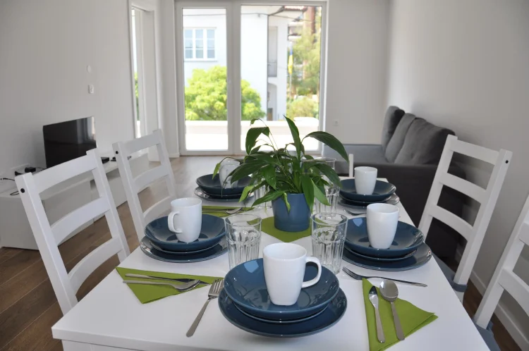 Apartments Trnovo #1