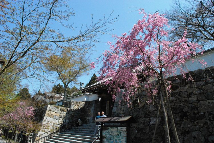 Ohara shop hot springs