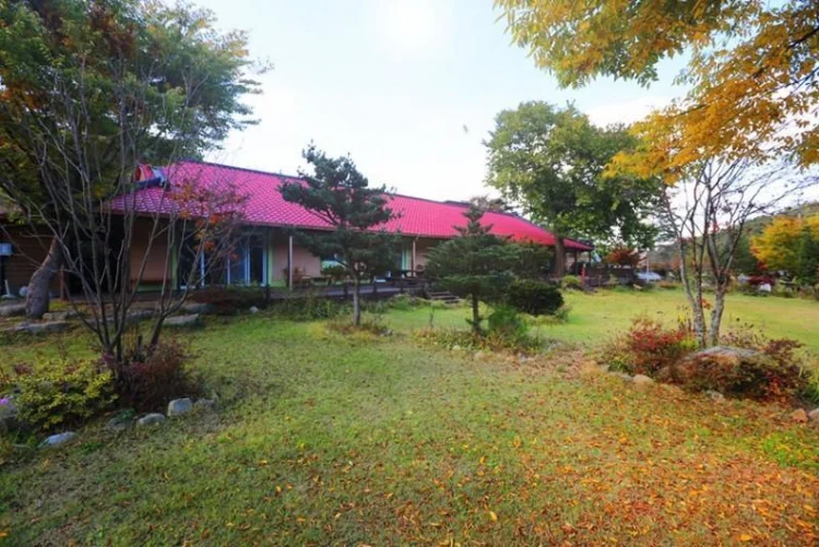 Pyeongchang Pyeongchang Pension Maeul #1
