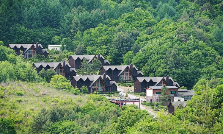 木屋度假村 #1