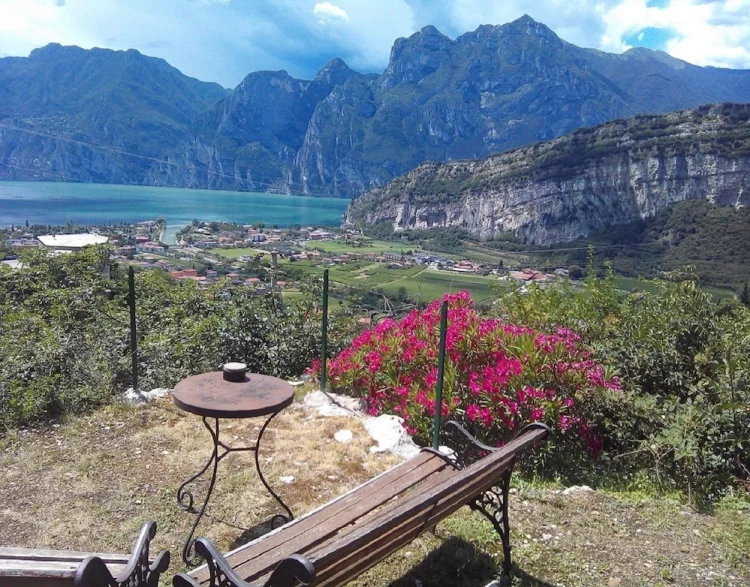 贝尔维德花园家庭旅馆 #1