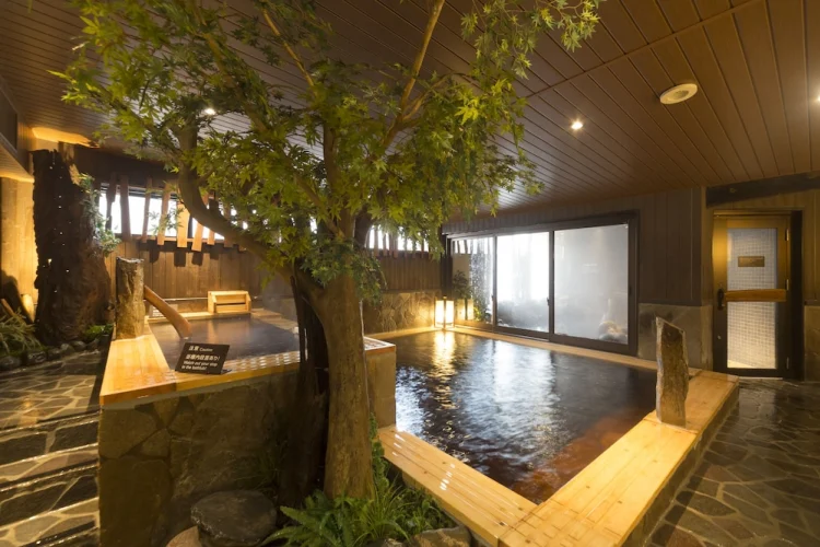 Dormy Inn酒店-富山天然温泉 #1