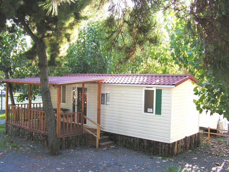 Camping orchidea online