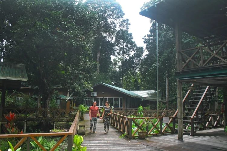 婆罗洲自然小屋旅馆 #1