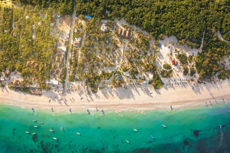 Alito Tulum Hotel #1