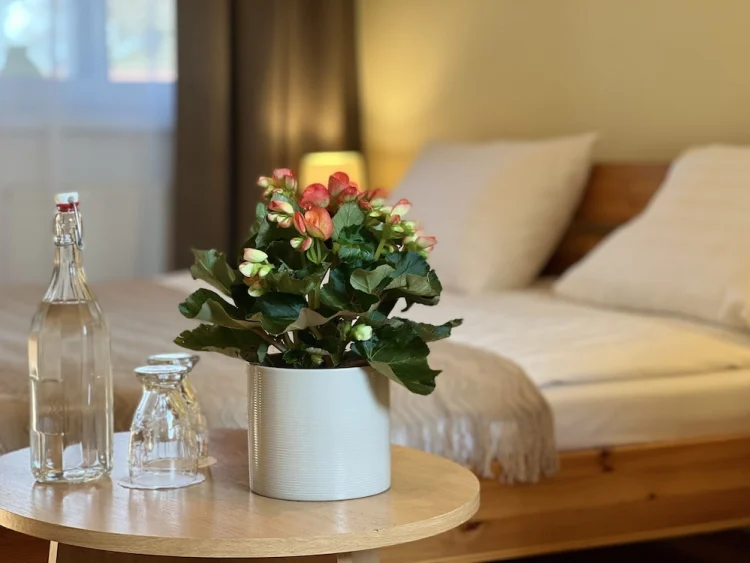 Hotel Marislav #1