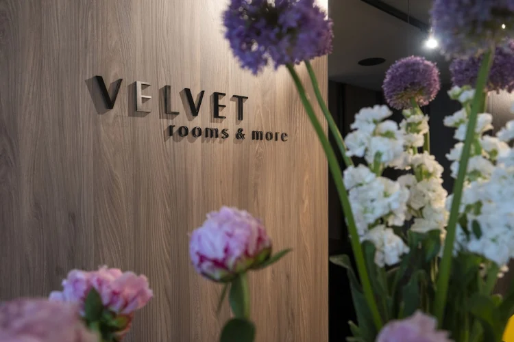 Velvet rooms & more #1