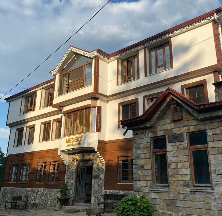 Meseici Otel #1