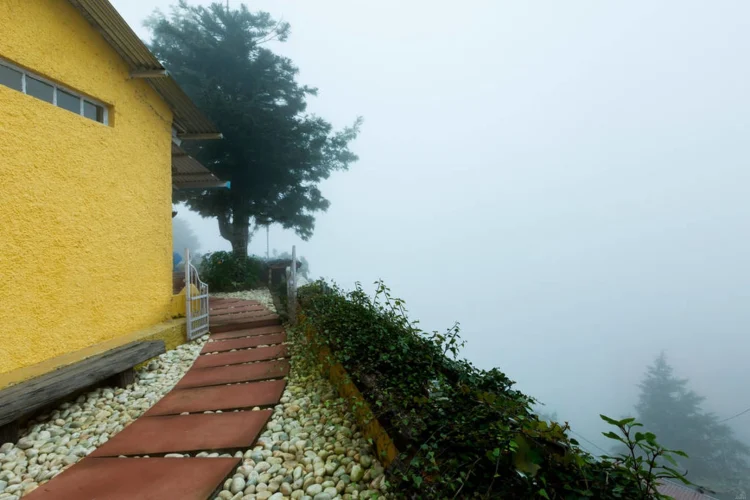 Seclude Mussoorie #1