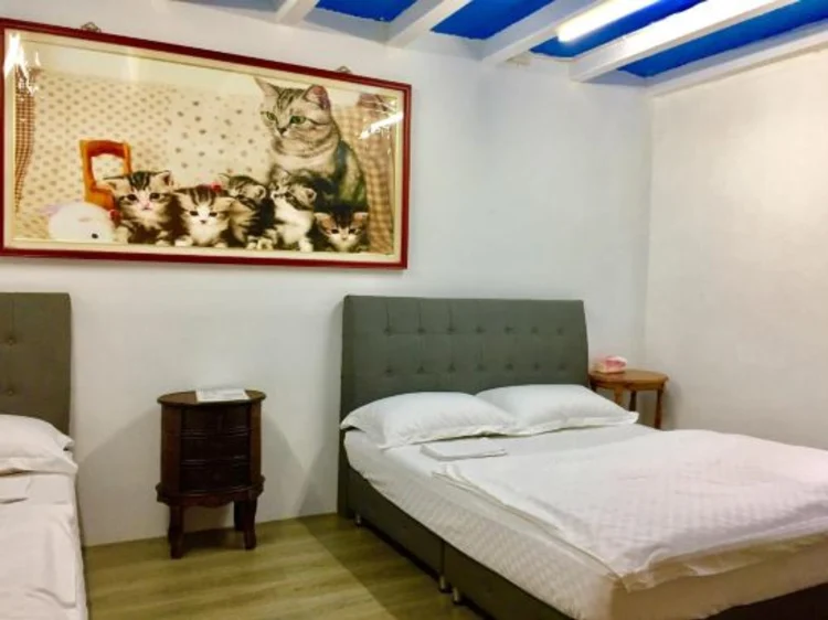 九份猫窝 #1