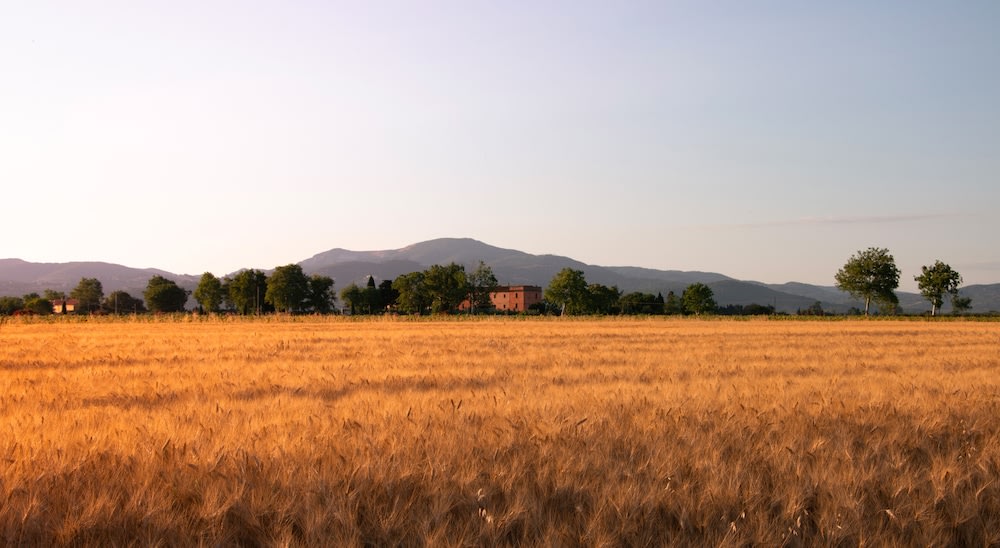 Agriturismo Il Pescinone Piombino 2022 Hotel Deals Klook United States