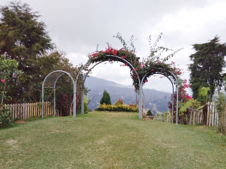Sunlight Suite Sdn Bhd Cameron Highlands 2021 Hotel Deals Klook India