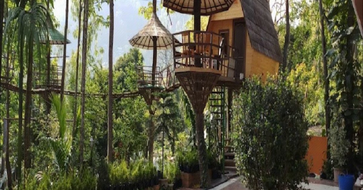Betel Valley Tree Resort, Rangpo, Sikkim in East Sikkim District | 2026 ...