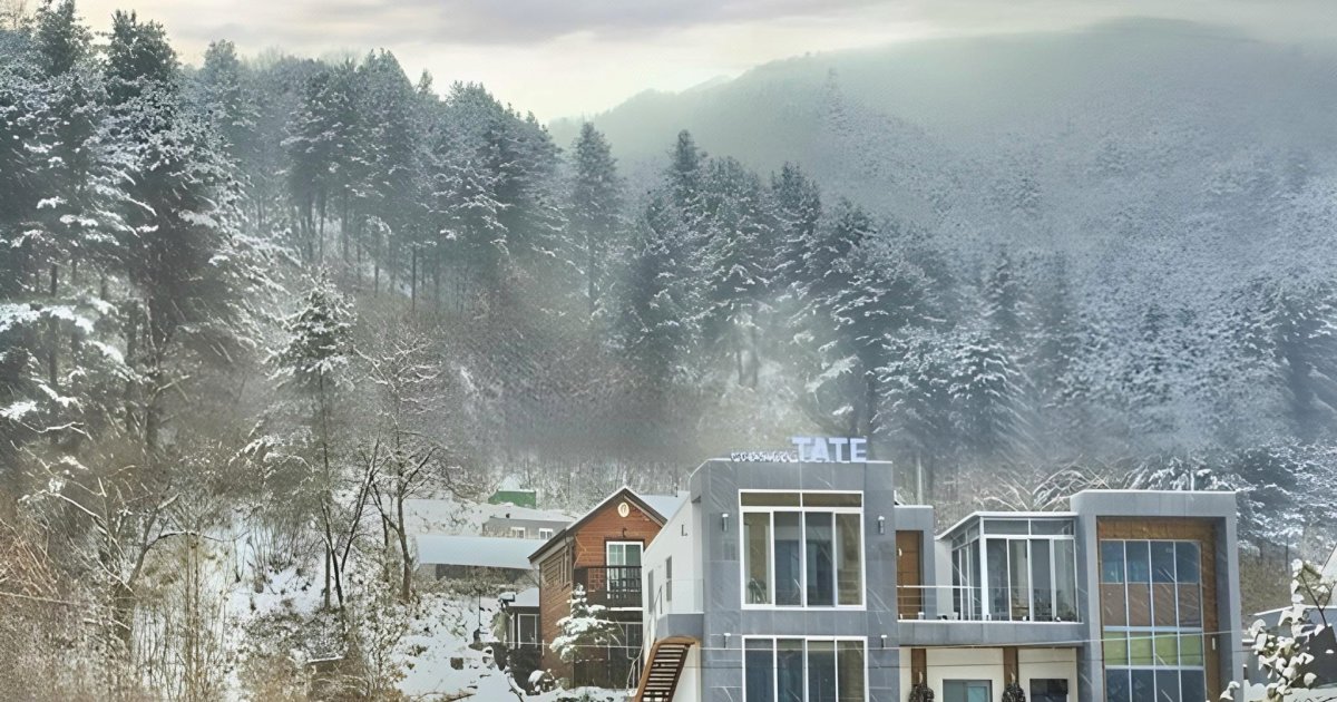 테이트펜션 팁 & 고려사항 이미지