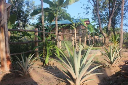 Pepper Farm Phú Quốc Bungalow