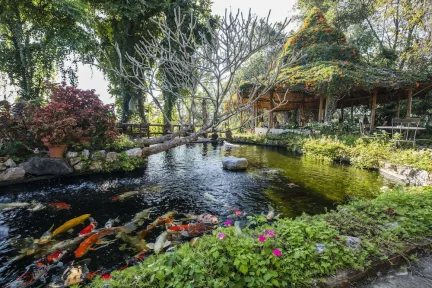 Phu Chaisai Chiang Rai Mountain Resort