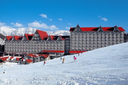 Hotel Green Plaza Hakuba