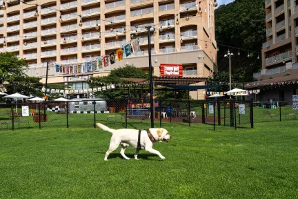 索诺宠物俱乐部度假村 维瓦尔第公园