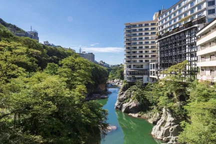 Kinugawa Plaza Hotel