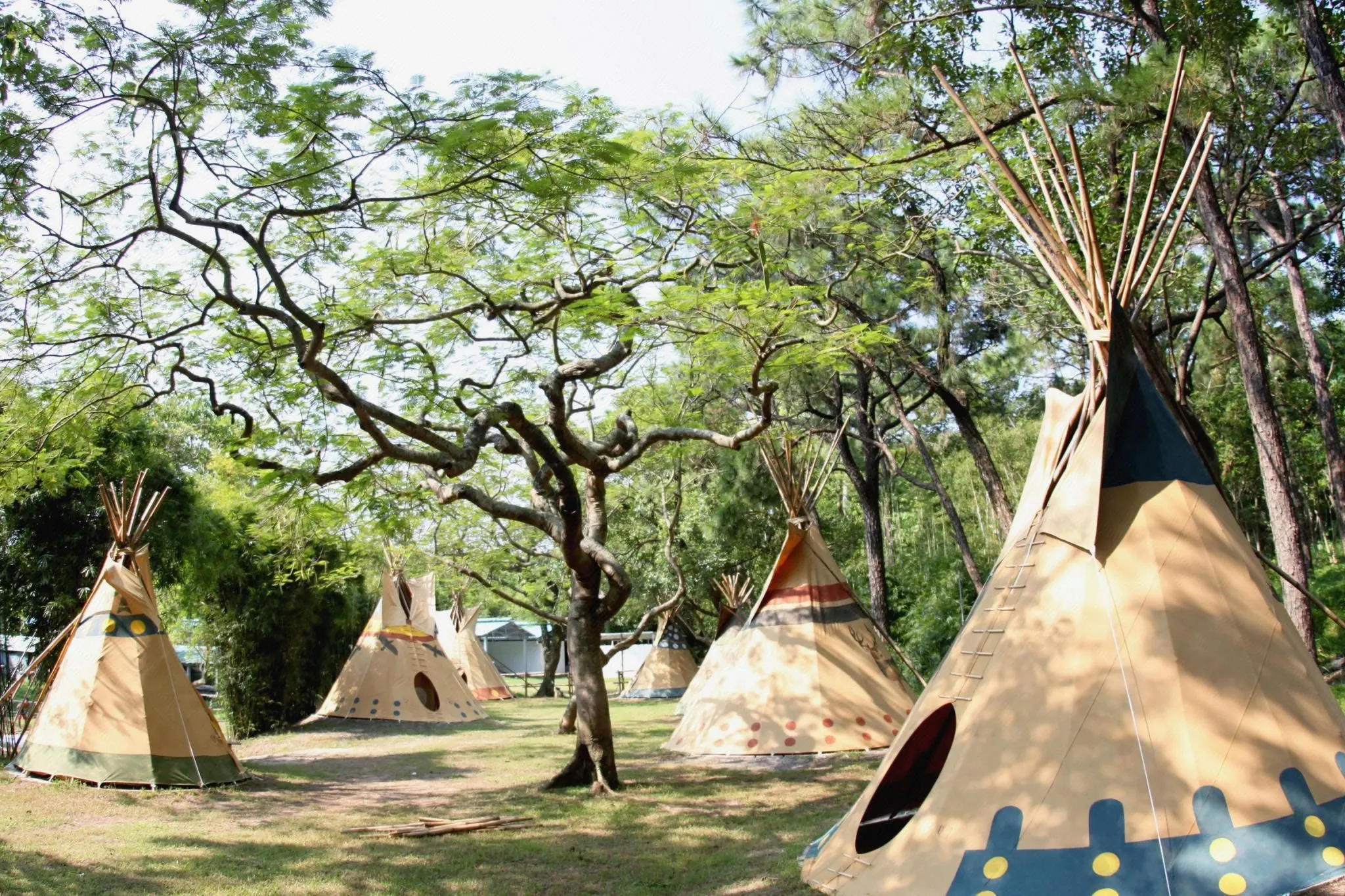 户外印第安錐形帳篷群分佈於茂密林蔭間，每個帳篷有獨特圖案和煙囱，營地自然環繞。
