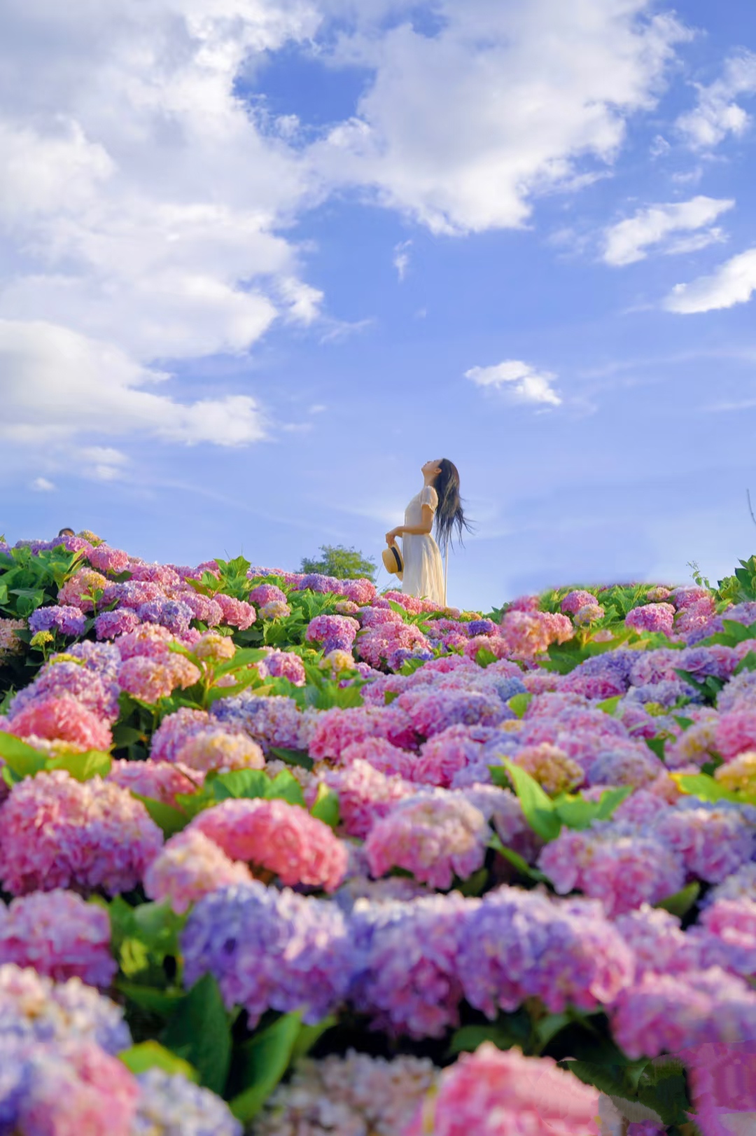 Yunshang Xingye Garden Hotel (Kunming Railway Station Shuangqiao Night Market Branch)