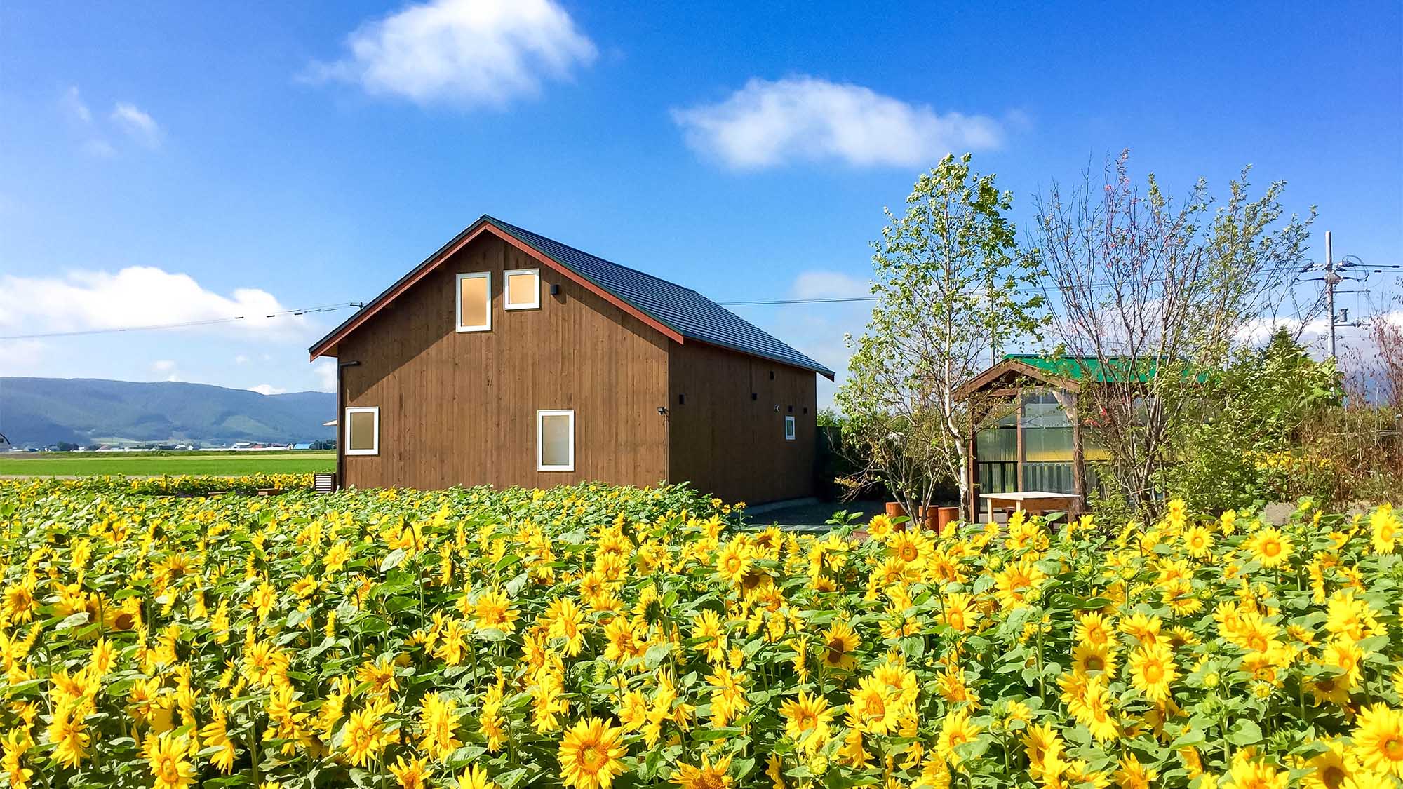 Country Cottage Wakiaiai in Sorachi Subprefecture | 2025 Updated prices ...