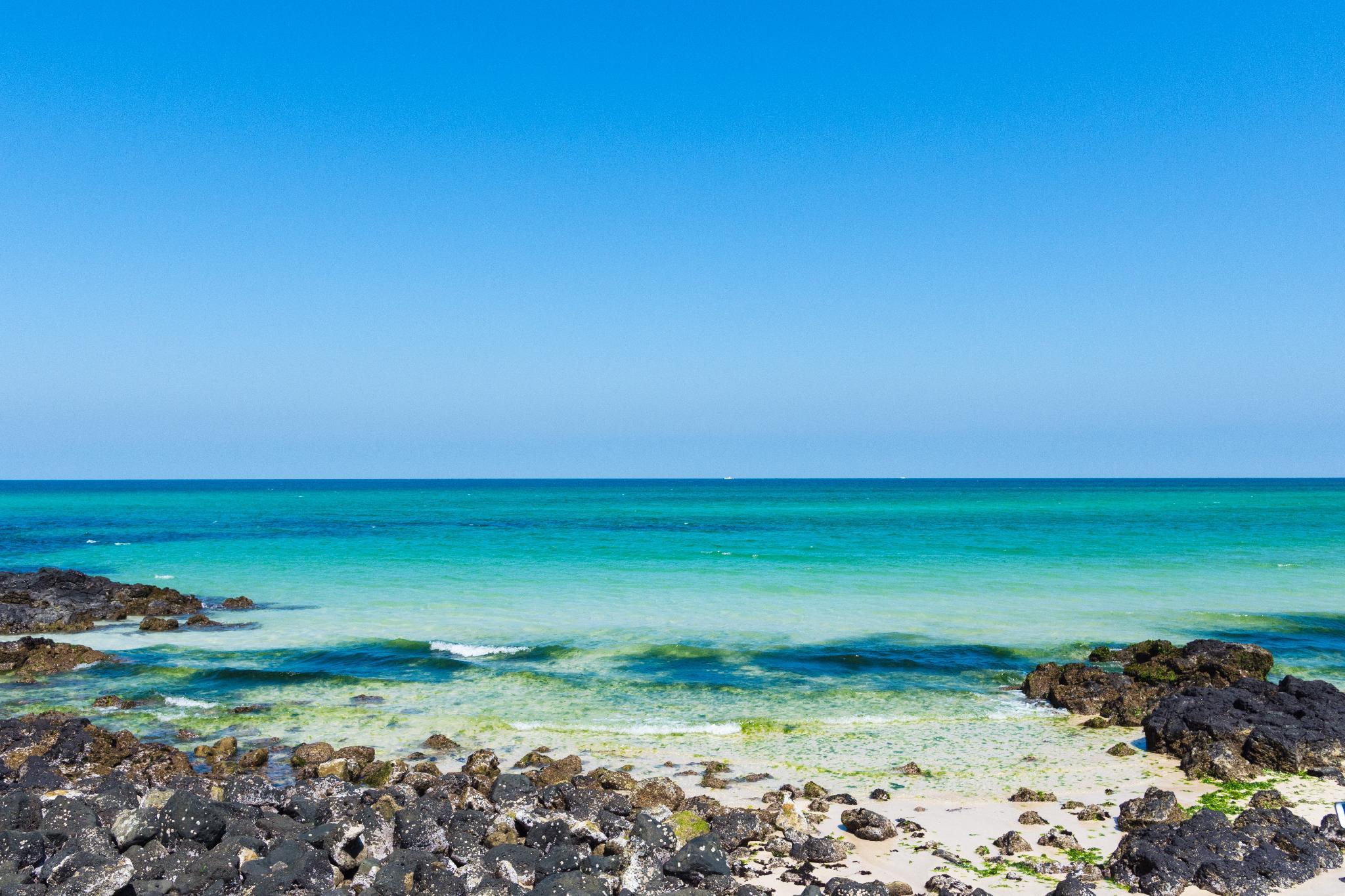 Jeju Joy Land (Renewal Open)