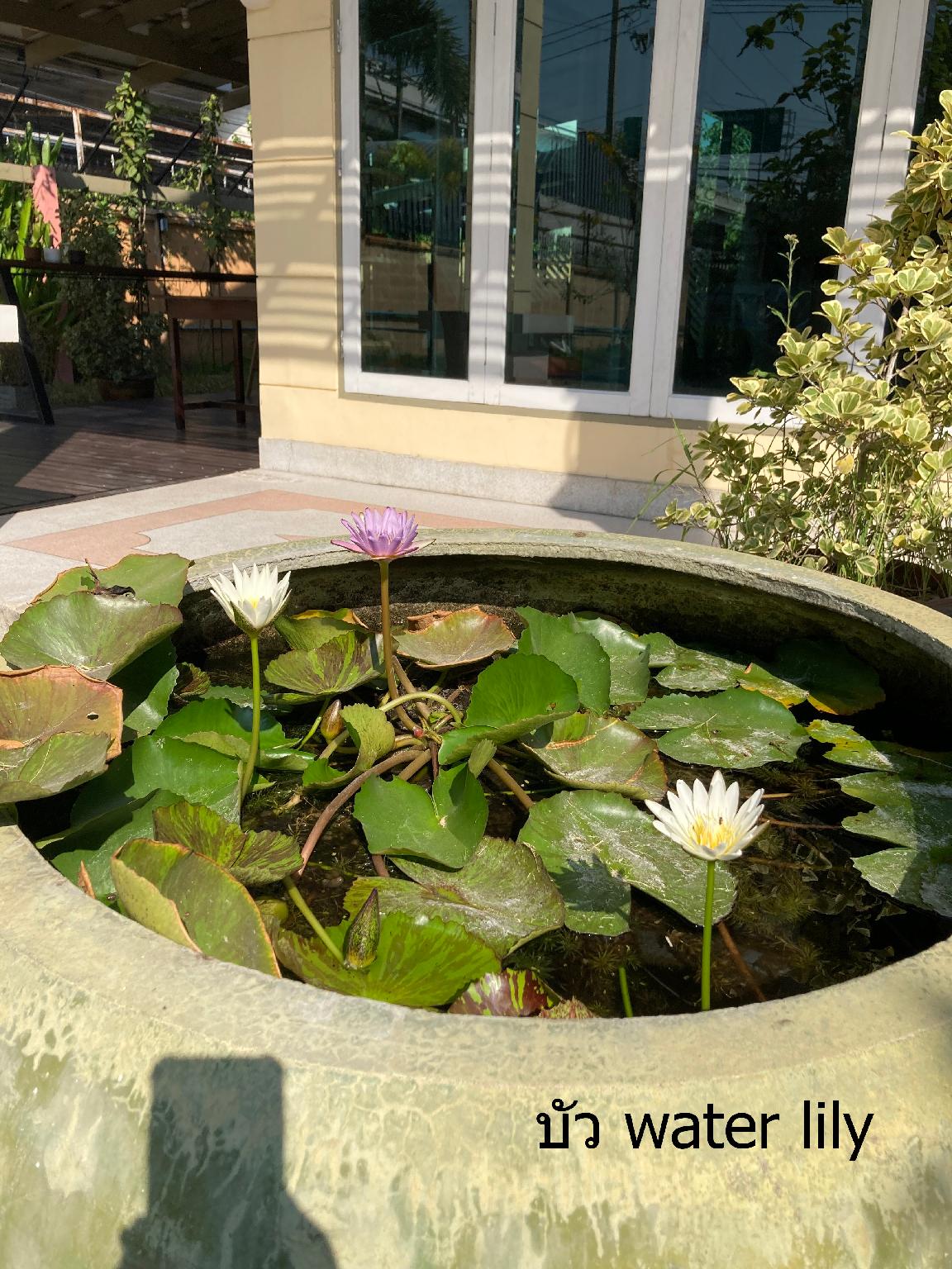 Airport one station hometel