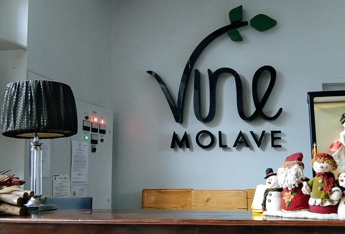 RedDoorz @ Vine Molave