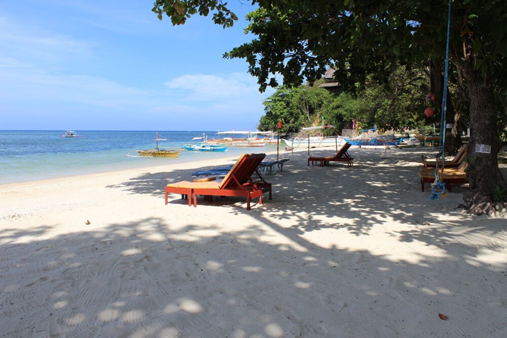 Artistic Diving Resort in Sipalay | 2025 Updated prices, deals - Klook ...