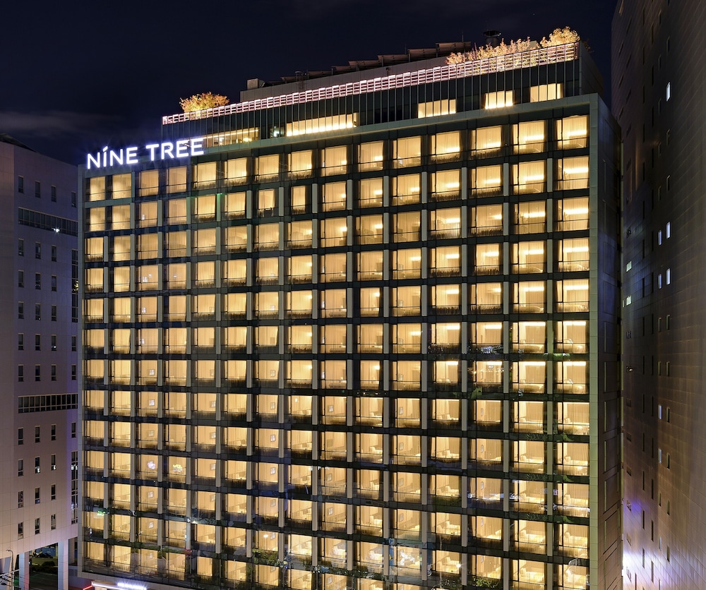 NINE TREE BY PARNAS SEOUL MYEONDONG 2