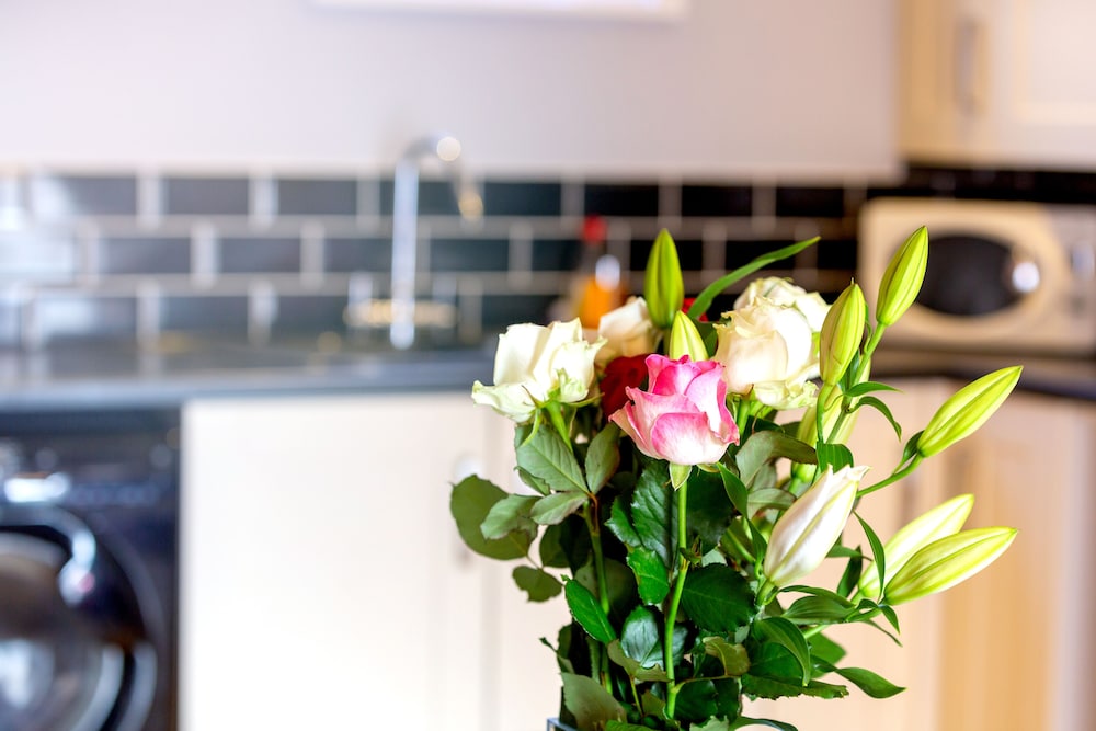 Church View Apartments in 2024 Updated prices, deals Klook United