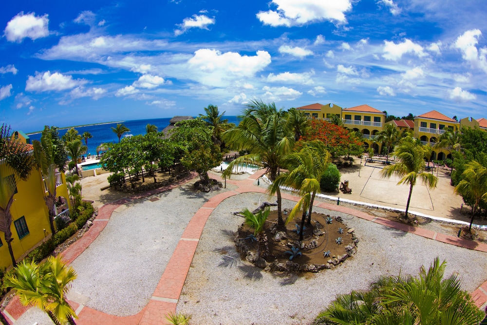 Buddy Dive Resort