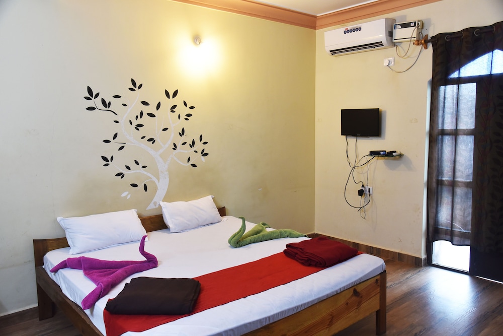 Smiley Baga Coast in North Goa 2024 Updated prices, deals Klook