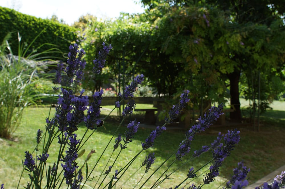 Best Western Plus Pays du Mont Blanc