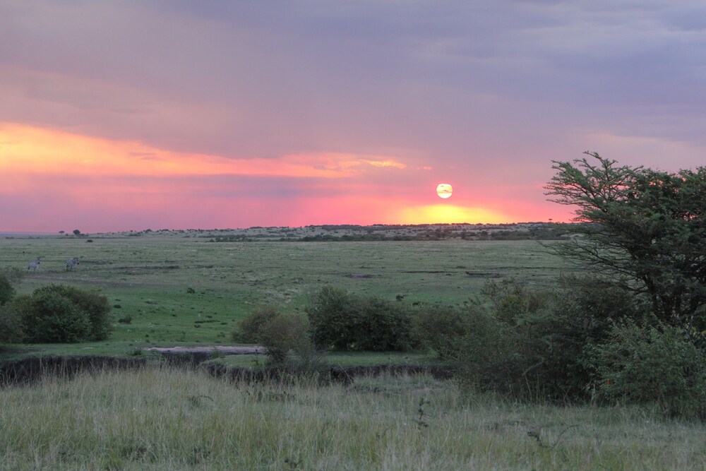Mara Major Camp