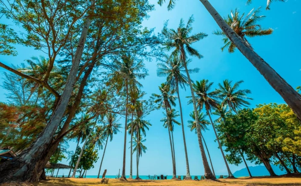 Coconut Beach Villa Langkawi in Langkawi 2023 Updated prices, deals